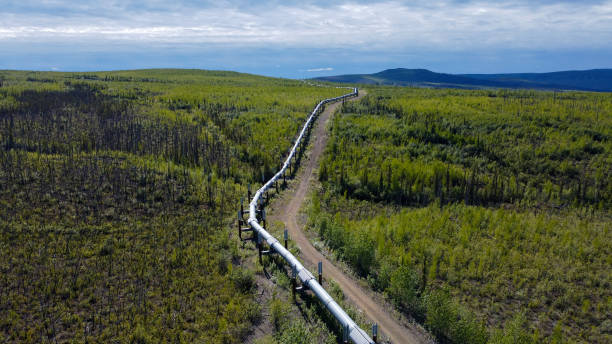 A view of the Trans-Alaska Oil Pipeline with Summer Colors stock photo