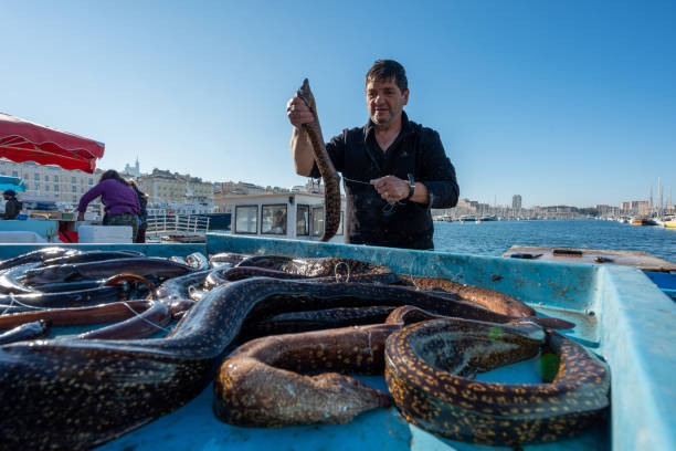 francia. marsella - fishermen harbor fotografías e imágenes de stock