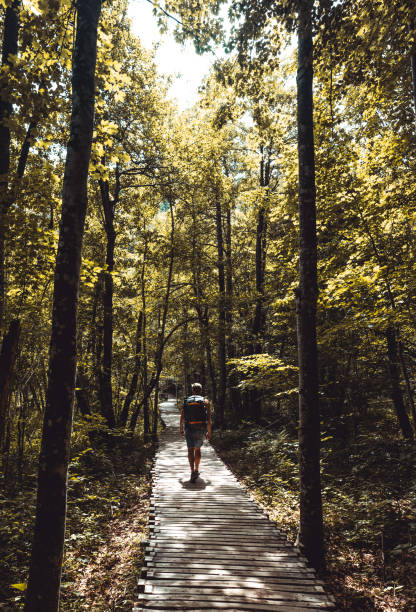 istock Man walking on a trail in a forest. 1406759954