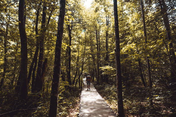 istock Man walking on a trail in a forest. 1406759973