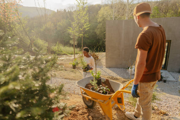 istock New plants for our garden in a backyard 1406761420