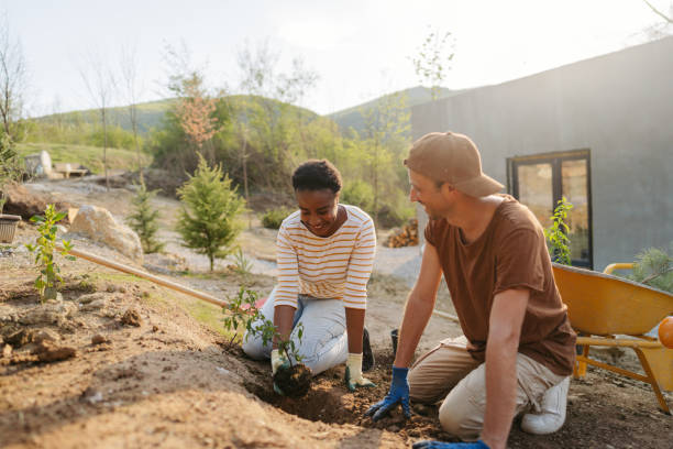 istock Planting new plants in our backyard 1406761854