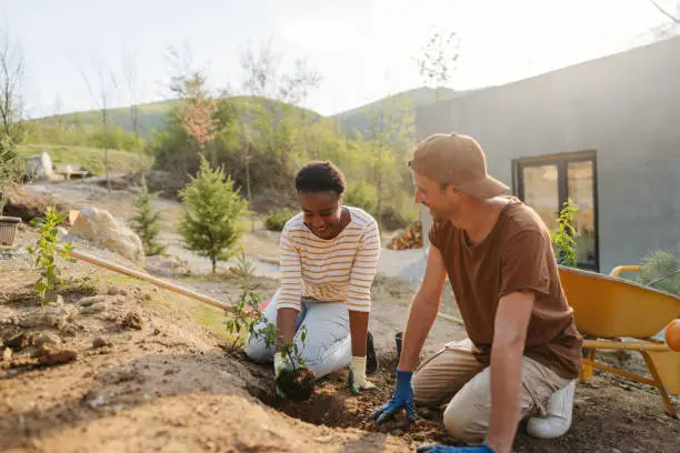 Photo of Planting new plants in our backyard