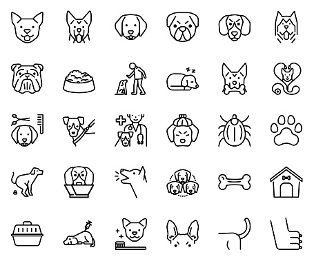 Dog icon set, simple design breed, vet, health, 30 items, vector illustration