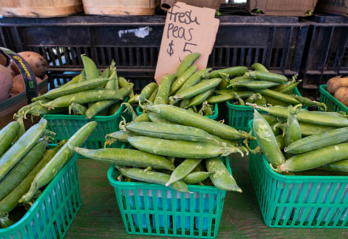 Fresh fava beans arranged in small wooden cartons for sale at a farmer's market.