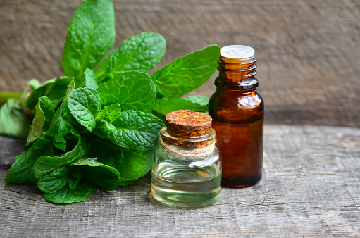 Peppermint essential oil in a glass bottle with fresh green mint leaves on old wooden table for spa,aromatherapy,homeopathy and bodycare.Selective focus.