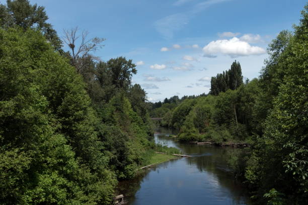 istock Watching over Sammamish River from Central Connector trail bridge 1406767816