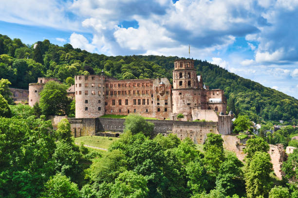 heidelberg castillo de alemania - odenwald fotografías e imágenes de stock