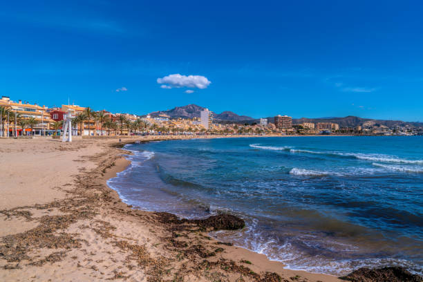 istock El Campello beach with seaweed Costa Blanca Spain 1406772386