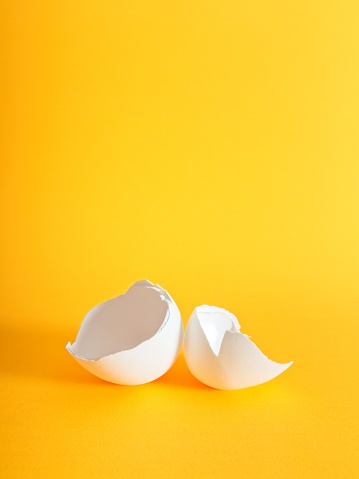 A cracked open chicken egg shell on a bright yellow background. A graphic design for concept imagery with room for copy.
