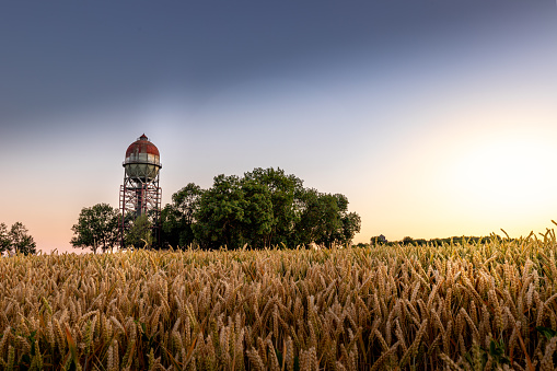 beautiful sunset at the old water tank the Lanstroper Ei. The setting sun makes the cornfield in front of it shine.