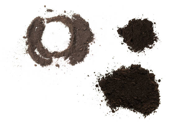 istock Black land circle for plant isolated on white background. Ground pattern. 1406780131