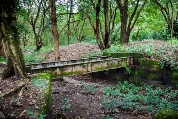 istock Abandoned bridge over which the train tracks passed before the Armero tragedy in 1985 1406780341