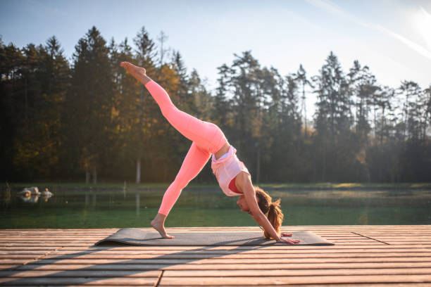 istock Downward Facing Dog - Peaceful Balance In Nature 1406782982