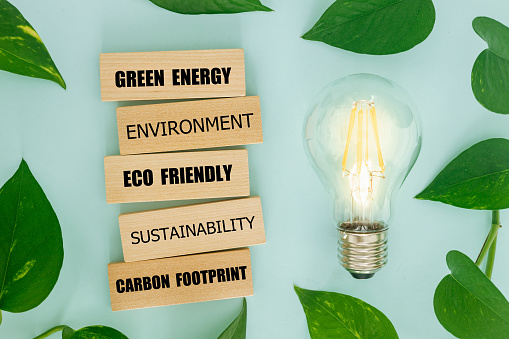 leaves surrounding bulb, ecological system, wooden blocks, slogans related to green energy and the environment, natural sources of electricity, creative, bright background, lay flat