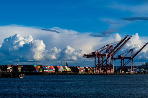 пирс для морских контейнеров во время облачного весеннего дня в пьюджет-саунд - water tranquil scene puget sound cloudscape стоковые фото и изображения