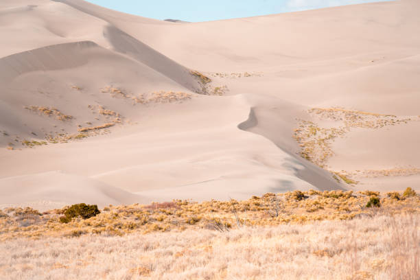 istock Great Sand Dunes National Park & Presserve in autumn. 1406788660