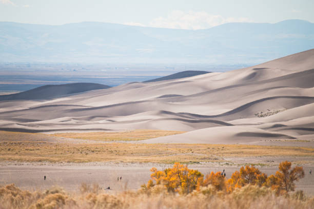istock Great Sand Dunes National Park & Presserve in autumn. 1406788667