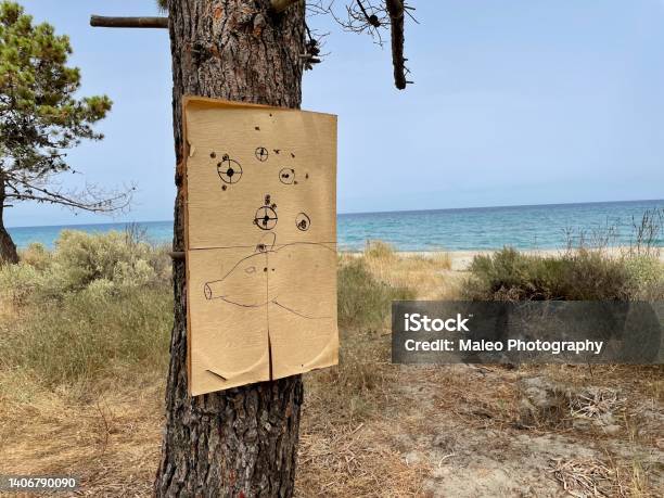 Target With Wild Boar Hanging On Tree At Beach In Corsica Stock Photo - Download Image Now