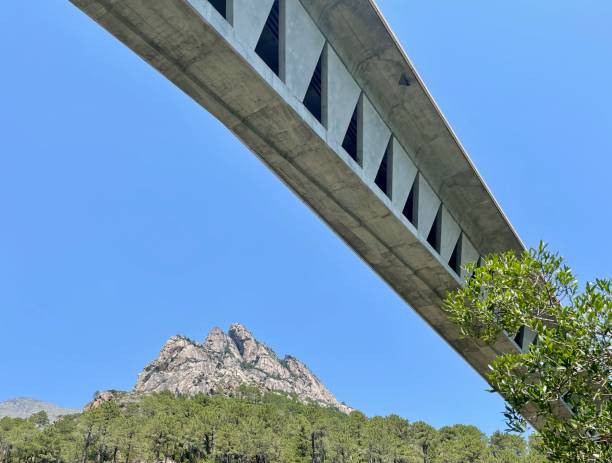 Low angle view of modern bridge over Vecchio in Vivario, Corsica. Low angle view of modern bridge over Vecchio in Vivario, Corsica. vivario photos stock pictures, royalty-free photos & images