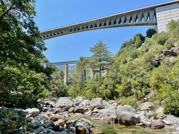 istock Modern road bridge and old Gustave Eiffel railway bridge over Vecchio river in Vivario, Corsica. 1406790903