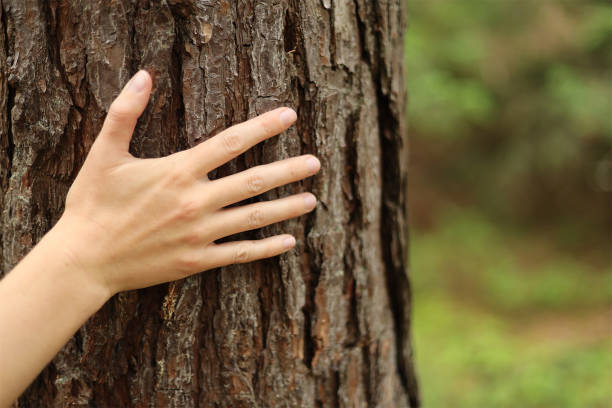 istock Unity with nature, care for the environment. Hand on the tree. 1406791062