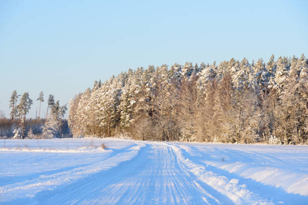 istock a beautiful white snowy winter road with a little sunlit trees on a nice day 1406791235