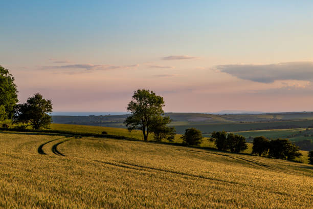 istock An idyllic view over farmland in the South Downs, with evening light 1406792470