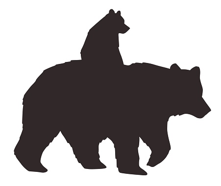 Bear silhouette of animal. Nature wild forest life. Vector element for camping outdoor aventures