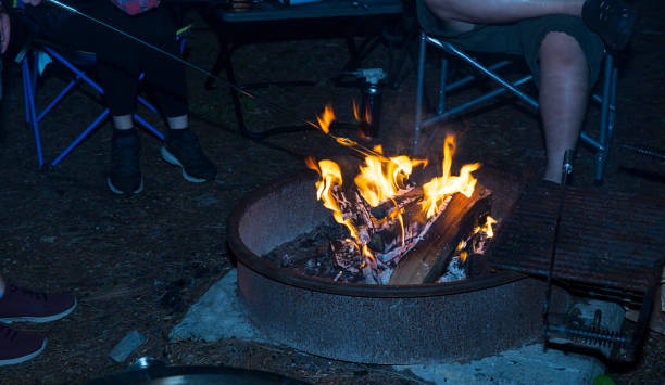 istock Burning flame at the camp fire ring during camping at night time 1406797458