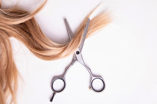 Scissors and blonde hair on white background, hair care and cut in hairdressing salon