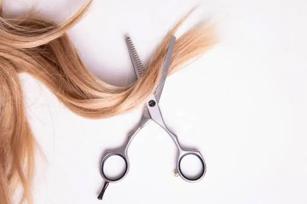 Photo of Scissors and blonde hair on white background