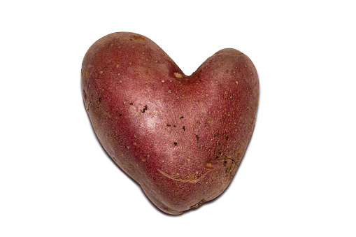 Isolated heart shaped potato on the white background.