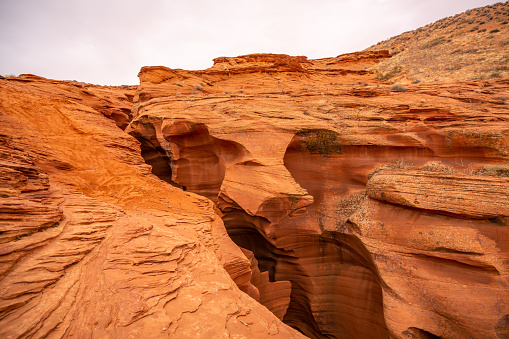 Peek-A-Boo, also commonly known as Red Canyon, is an easy, short hike (0.7 miles round trip) into one of the most beautiful slot canyons in the area. The stunning orange, sandstone walls make an amazing backdrop for photographs. In the canyon, you will find ancient Moqui Steps climbing the canyon wall as well as logs balanced between the canyon walls above you. Keep in mind, deep sand makes the route to Peek-A-Boo difficult, and in some cases, impassable. In recent years, flash floods have pushed boulders into the Peek-A-Boo Canyon, creating drop-offs that may pose challenges for visitors. Floods frequently change the height and difficulty of these obstacles by depositing or washing away sediment and debris.