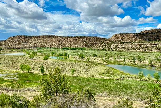 istock San Juan River Wetlands 1406802807