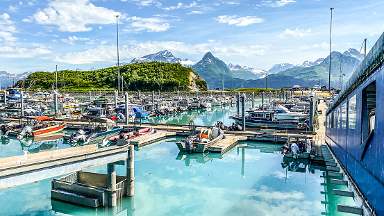 July 3, 2022, Valdez, Alaska. Valdez harbor is a beautiful setting for all that represents Alaska fishing.  Many will make their way to this harbor in hopes of catching salmon, halibut, and other sea fish. People can be seen throughout the harbor cleaning halibut, and the various fish they caught. Many will use this harbor as a starting point for the Prince William sound. The fishing industry will gather many salmon throughout the summer. These salmon will go on to other parts of the world.
