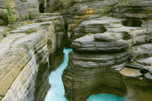 Mistaya canyon. Banff National park. Canada.
