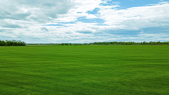 A wide open view of a field and trees in the distance under cloudy blue sky