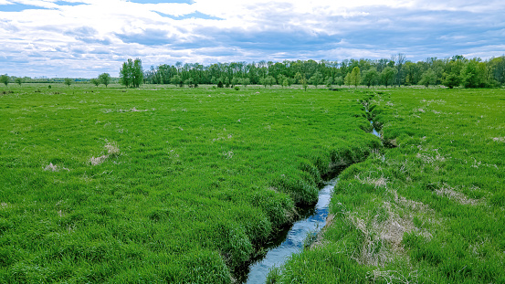 A rural view of a small stream in a green grassy field in spring. The edge of the forest in the distance.
