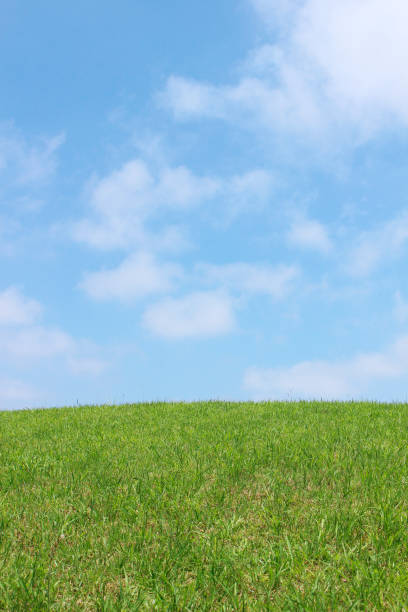 istock Beautiful blue sky and lawn 1406813731