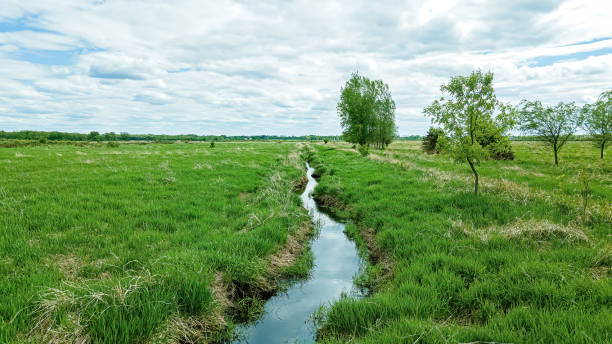 Free Stock Photo of River Flowing Through Lush Green Field Under Cloudy ...