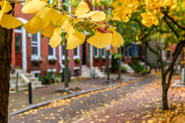 Autumn in Philadelphia stock photo