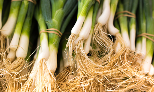 Pile of Scallions/Spring Onions Close-Up at Market