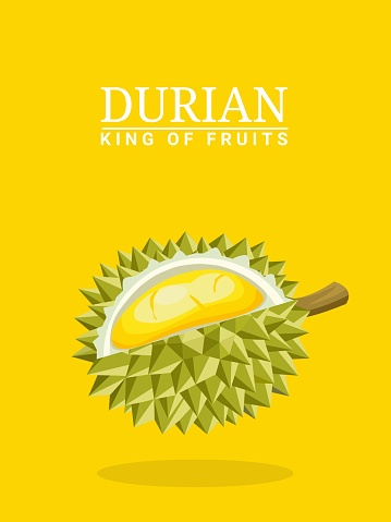 Vector illustration, floating durian fruit, isolated on yellow background, perfect for book covers, product labels or posters.