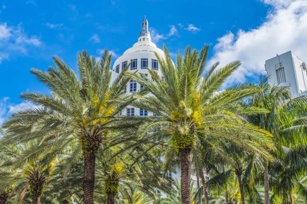 istock Palm Trees Art Deco Buildings Miami Beach Florida 1406828269
