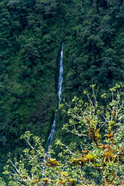 istock Waterfall in the middle of a green landscape 1406830490