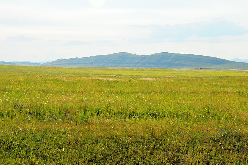 A flat valley of low green grass at the foot of a mountain range. Khakassia, Siberia, Russia.