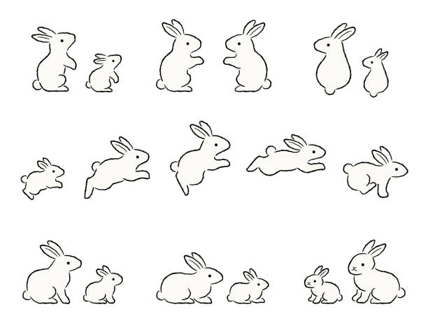 ilustraciones, imágenes clip art, dibujos animados e iconos de stock de conjunto de ilustraciones de padres e hijos de conejos blancos - lagomorfos