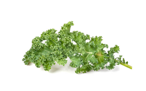 istock kale leaves on white background full depth of field 1406836699