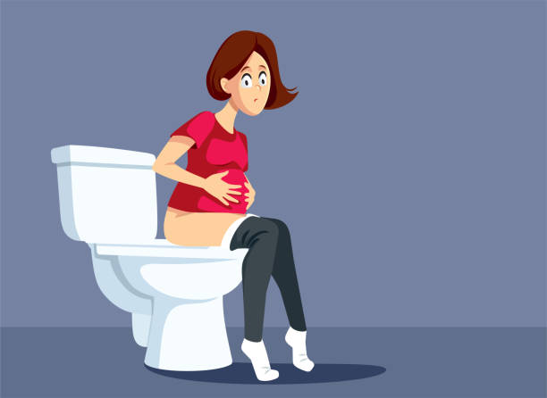 Flyve drage Windswept Afslut Pregnant Woman Sitting On The Toilet Vector Cartoon Illustration Stock  Illustration - Download Image Now - iStock